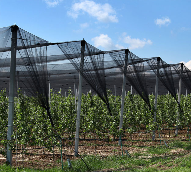 Anti hail net for orchards vineyards gardens