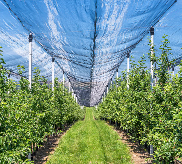 agricultural anti hail netting