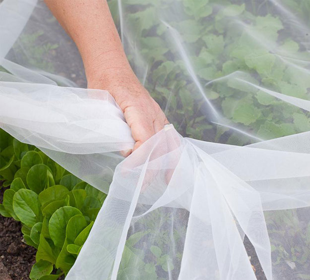 anti-insect netting mesh against pests for gardens and orchards