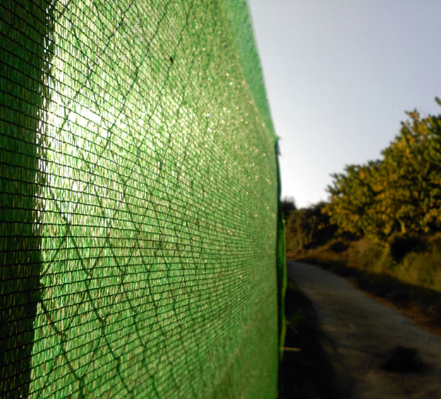 green shading net for plants