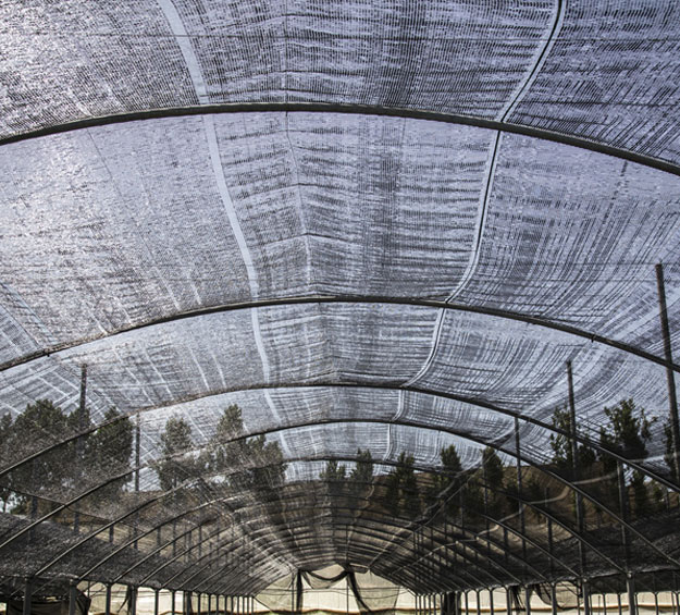 sun shade net mesh for greenhouse and garden