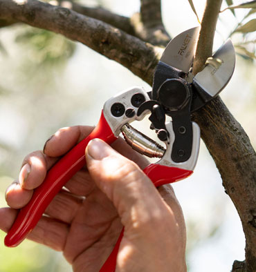 best quality pruners supplier for horticulture use