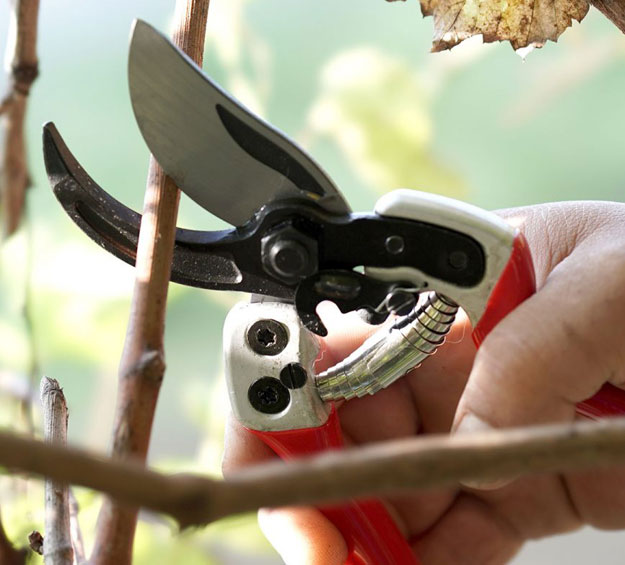 high quality bypass pruning shears