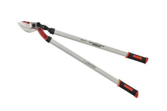 professional lopping shears