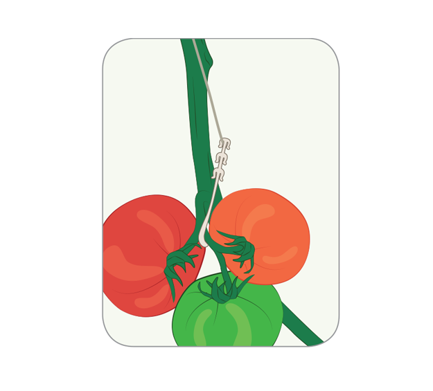 j-hooks for tomato plant