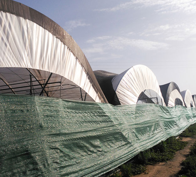 UV protection agricultural sun shade net roll