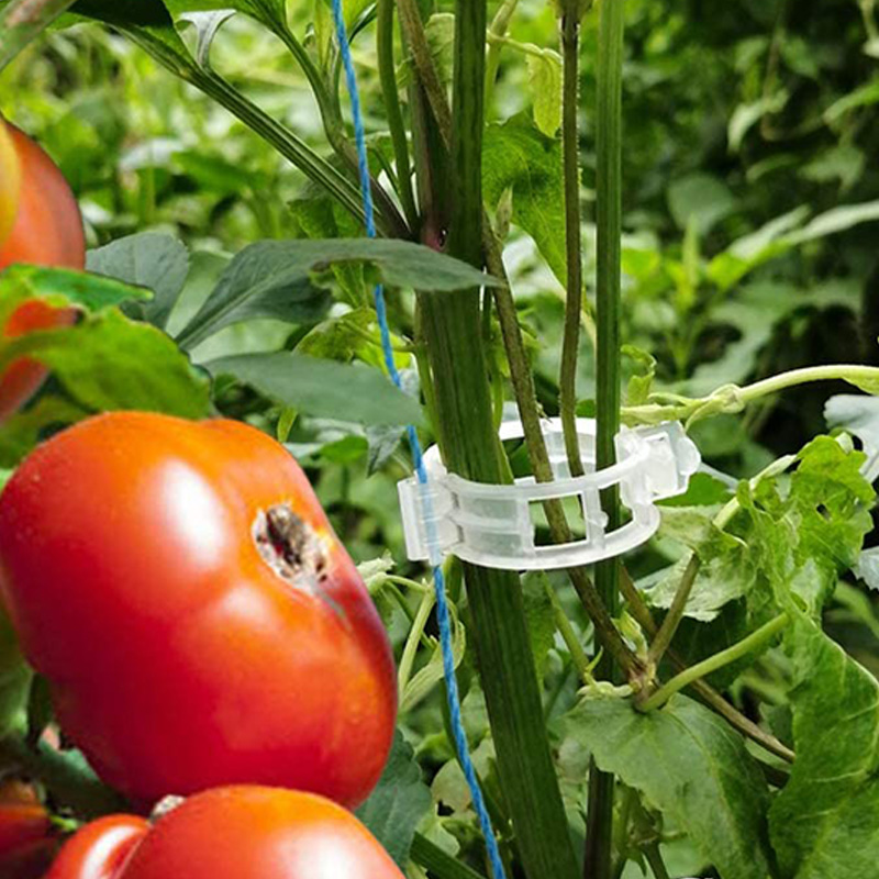 tomato clips usage manual