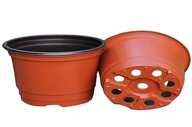 pots for growing cactus and succulent 