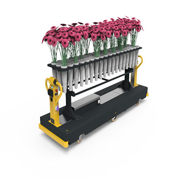 harvesting machine for floriculture