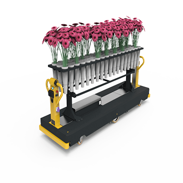 flower harvesting trolley