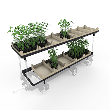 frame for transporting plants