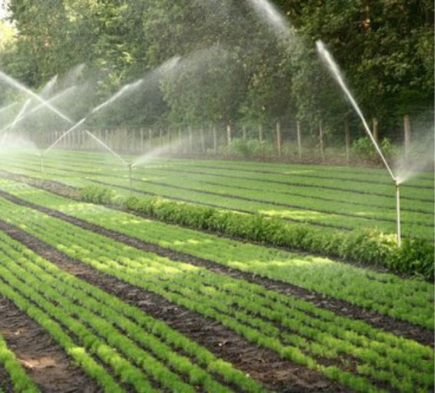 Impact Sprinkler – Agricultural Irrigation Systems - Harvesso