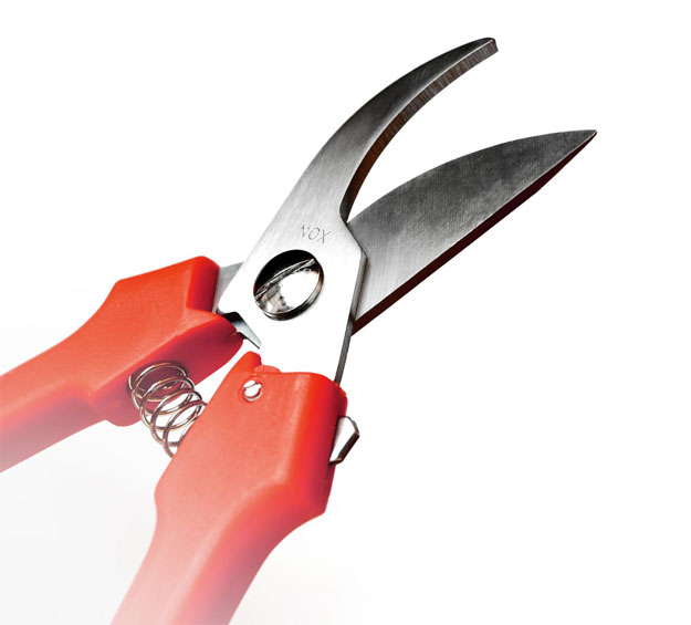 pruning shears for flowers