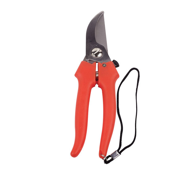 pruning shears for flower pruning