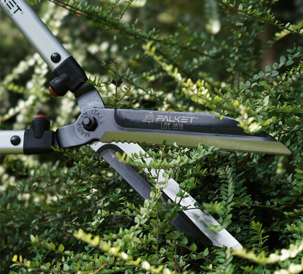 pruning secateurs to hedge plants