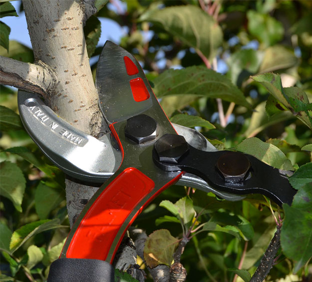 Lopping pruning secauteurs with special leveler