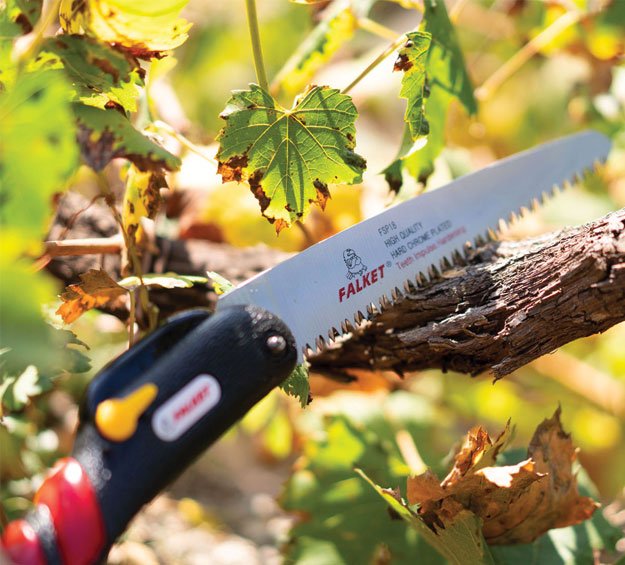 curved pruning saw