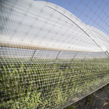 anti bird net for gardens