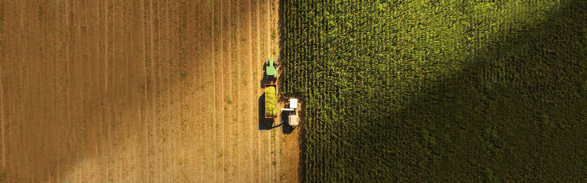 Harvesso Hero Slider Mobile