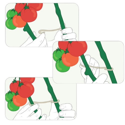 stem holder